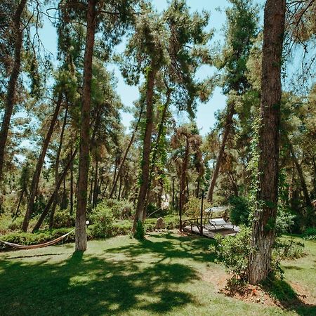 Beautiful Summerhouse In Sani'S Pine Forest Sani  외부 사진