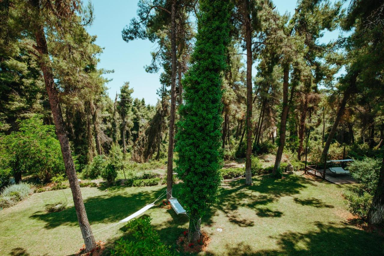 Beautiful Summerhouse In Sani'S Pine Forest Sani  외부 사진