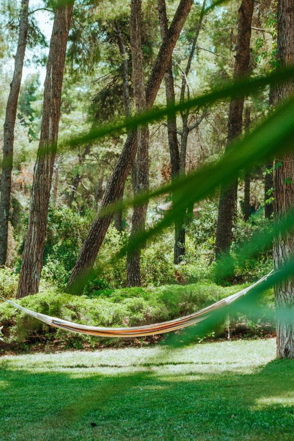 Beautiful Summerhouse In Sani'S Pine Forest Sani  외부 사진